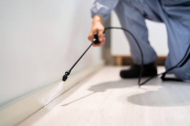 Professional exterminator conducting IPM assessment in Enola